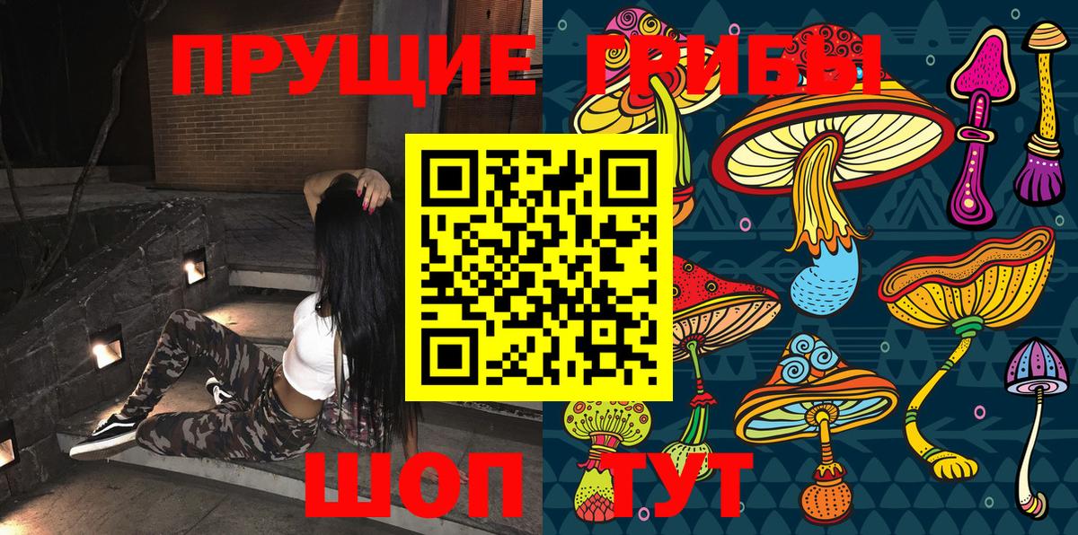 Псилоцибиновые грибы Cubensis Воскресенск